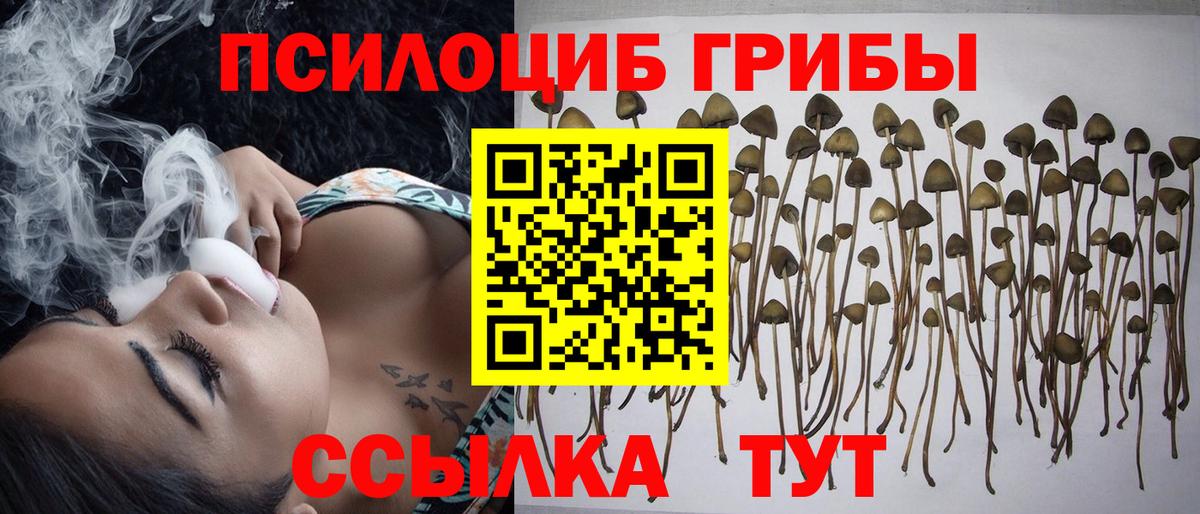 Псилоцибиновые грибы GOLDEN TEACHER  Псилоцибиновые грибы MAGIC MUSHROOMS  Липецк  Вход с VPN 